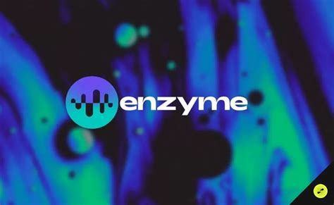 Enzyme (MLN) DeFi Portföy Yönetimi